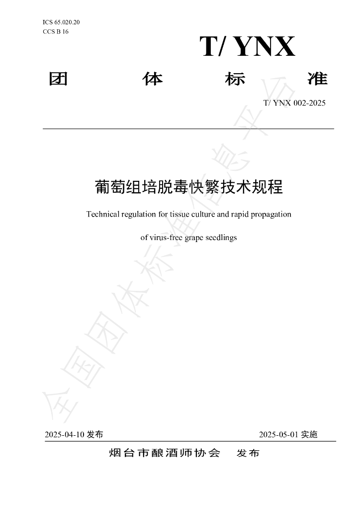 T/YNX 002-2025 葡萄组培脱毒快繁技术规程