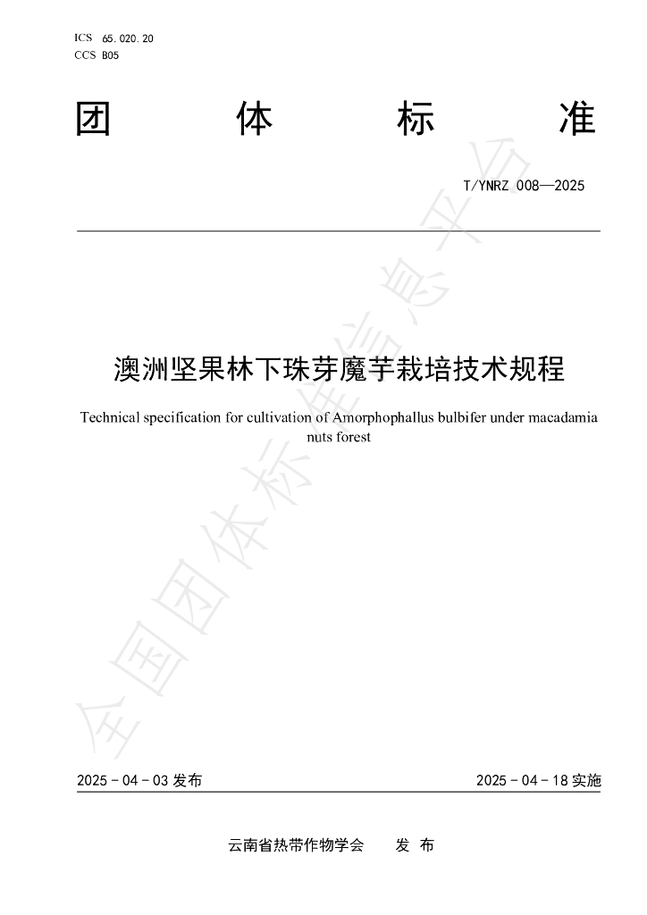 T/YNRZ 008-2025 澳洲坚果林下珠芽魔芋栽培技术规程