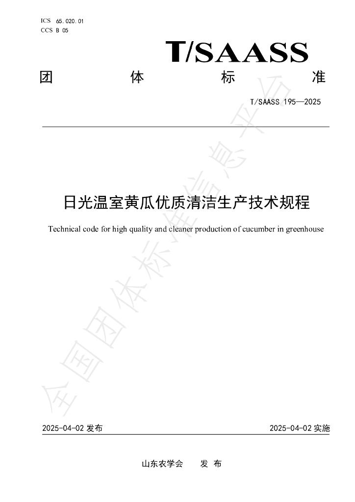 T/SAASS 195-2025 日光温室黄瓜优质清洁生产技术规程