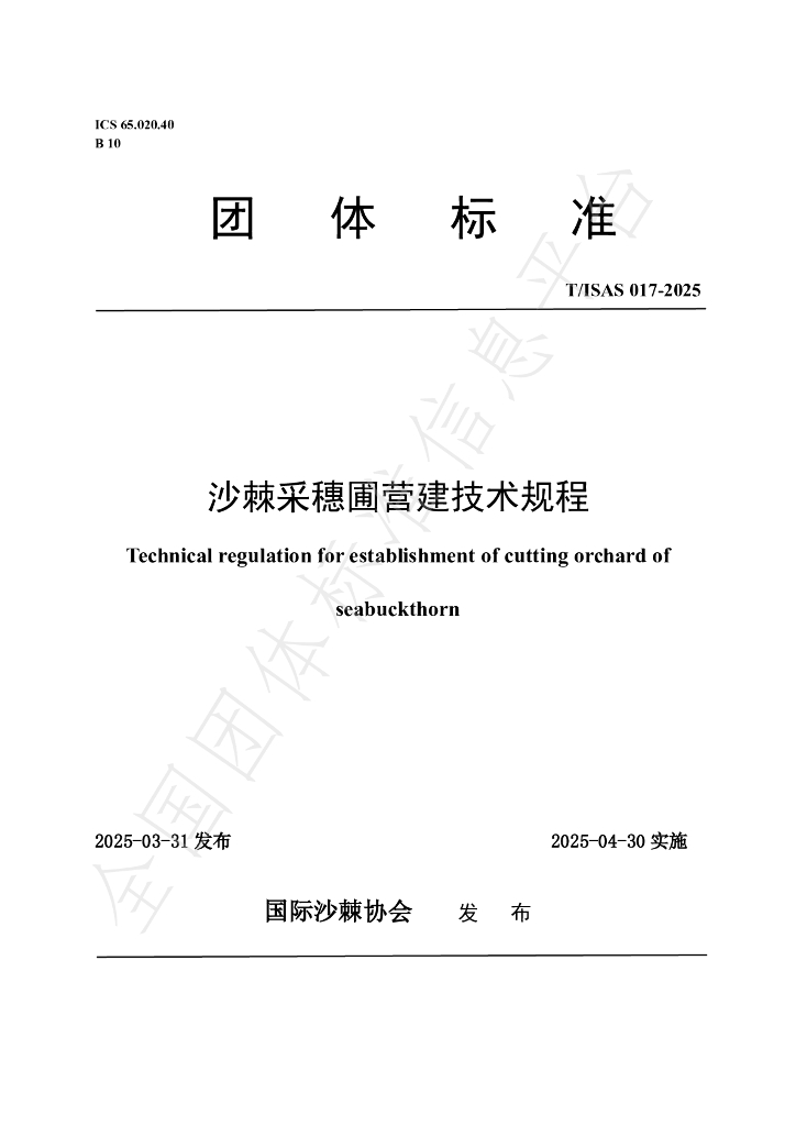 T/ISAS 017-2025 沙棘采穗圃营建技术规程