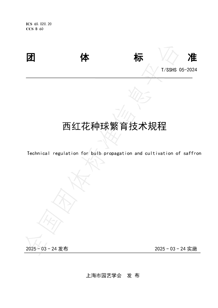 T/SSHS 05-2024 西红花种球繁育技术规程