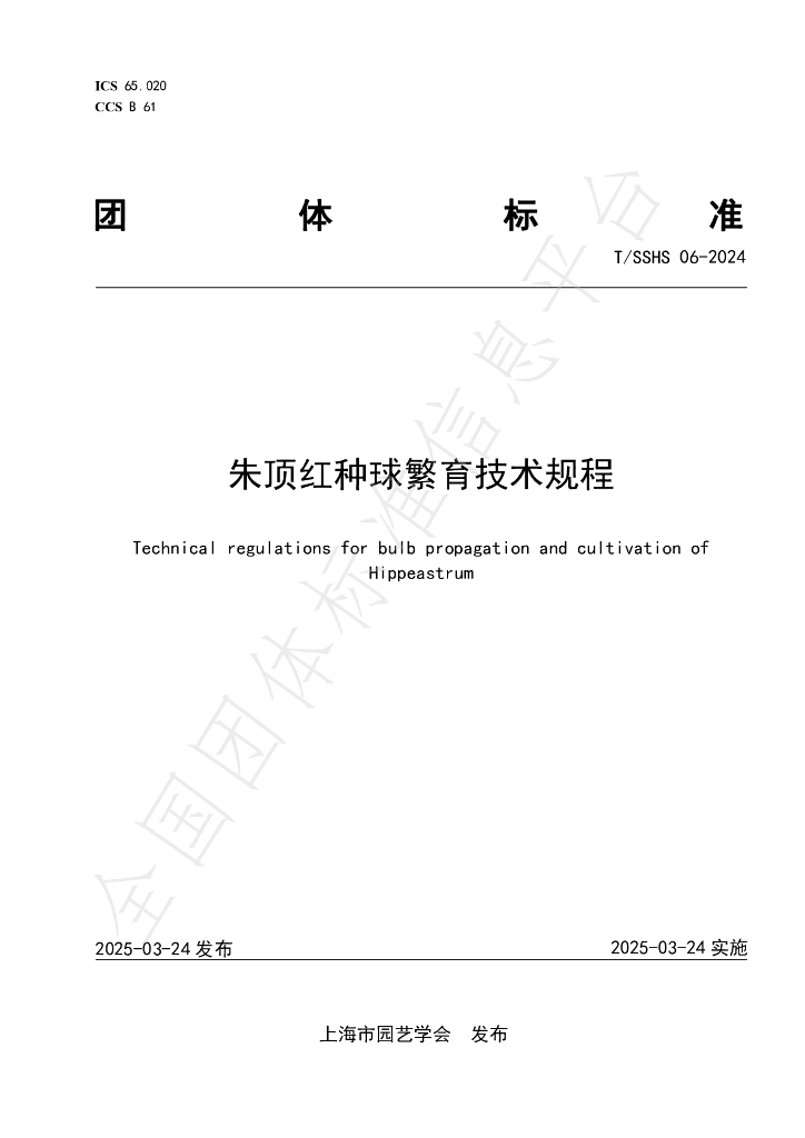 T/SSHS 06-2024 朱顶红种球繁育技术规程