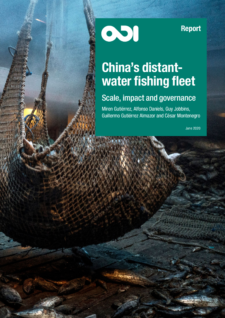 海外发展研究所：2020年中国远洋捕鱼船队：规模，影响和治理报告（英文版）