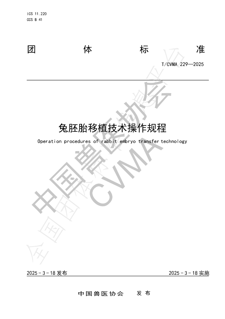 T/CVMA 229-2025 兔胚胎移植技术操作规程