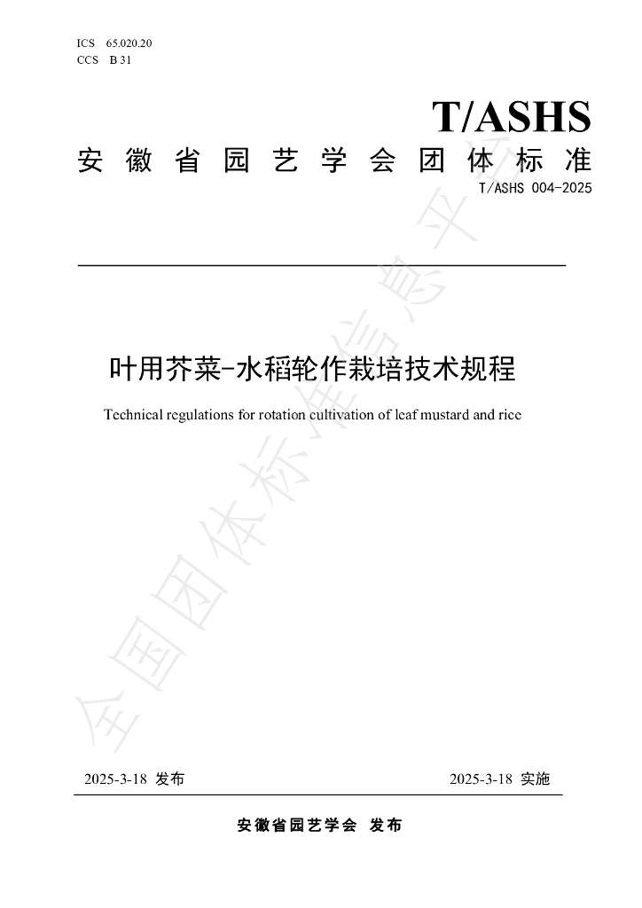 T/ASHS 004-2025 叶用芥菜-水稻轮作栽培技术规程