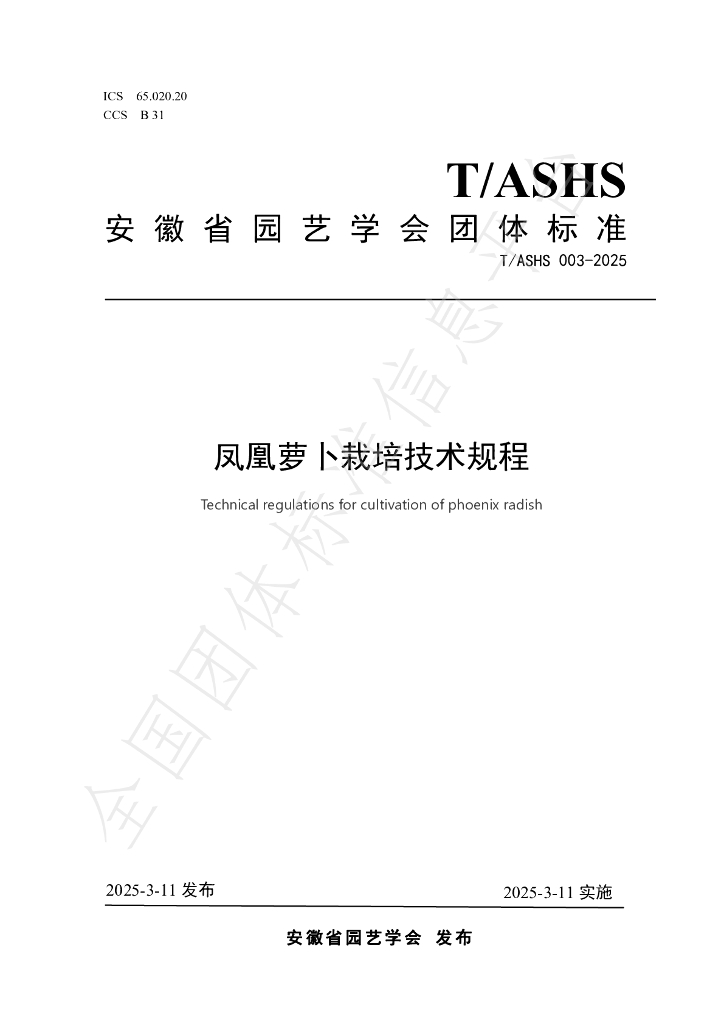 T/ASHS 003-2025 凤凰萝卜栽培技术规程