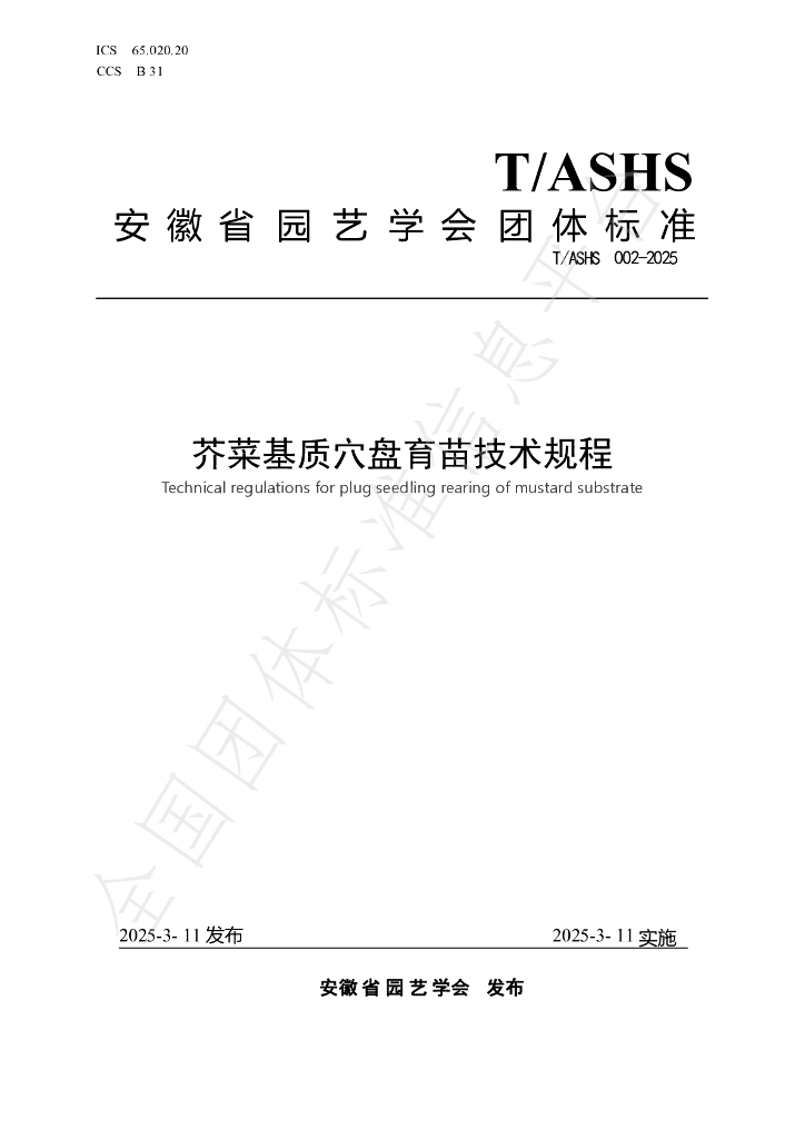T/ASHS 002-2025 芥菜基质穴盘育苗技术规程