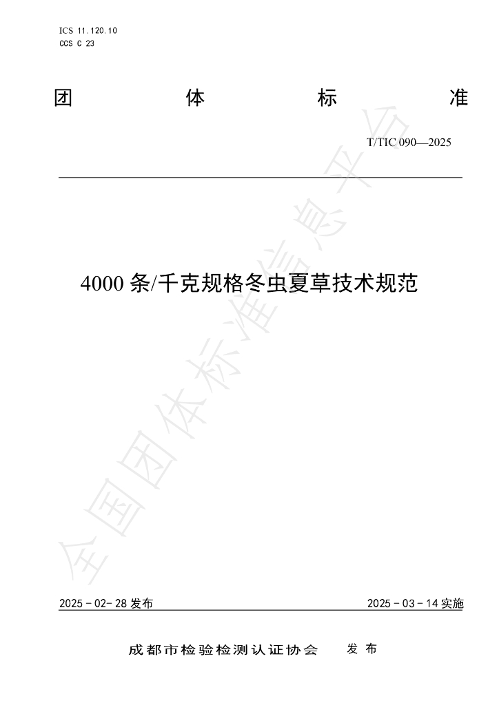 T/TIC 090-2025 4000条/千克规格冬虫夏草技术规范