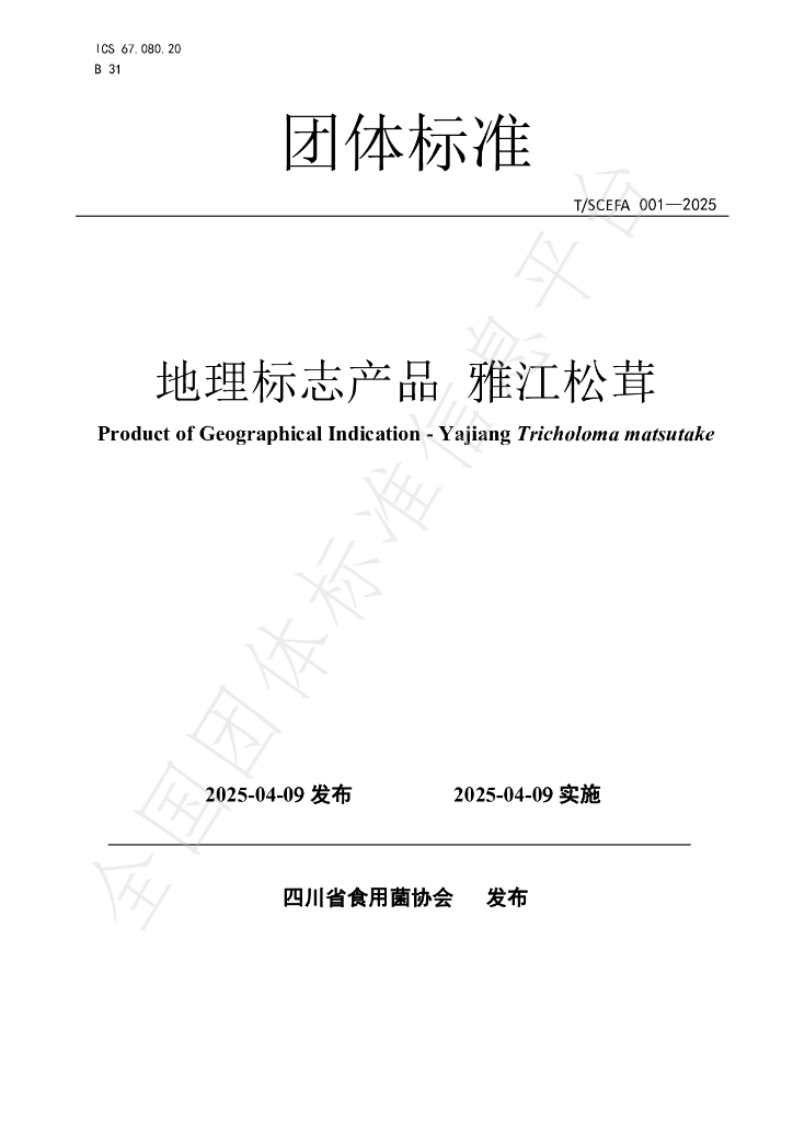 T/SCEFA 001-2025 地理标志产品 雅江松茸