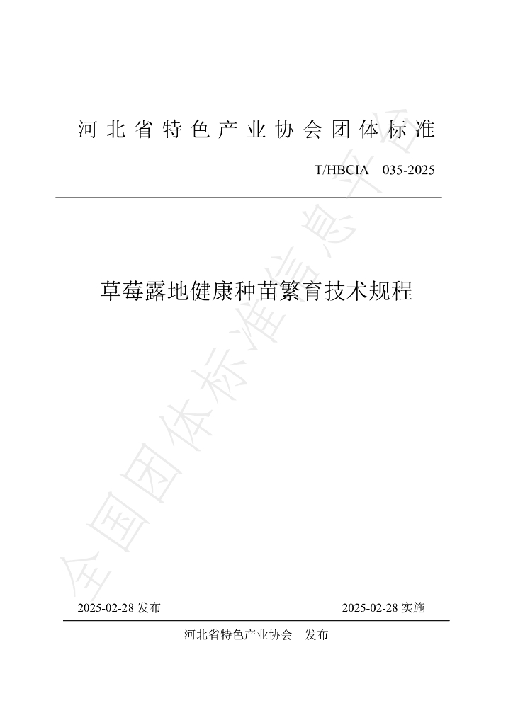 T/HBCIA 035-2025 草莓露地健康种苗繁育技术规程