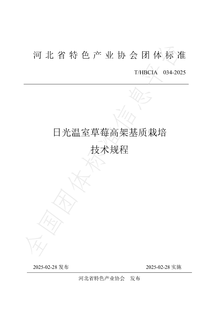T/HBCIA 034-2025 日光温室草莓高架基质栽培技术规程