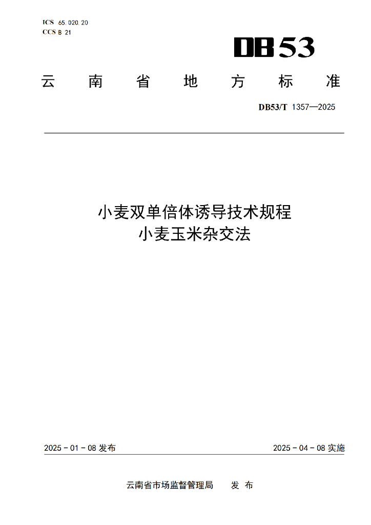 DB53/T 1357-2025 小麦双单倍体诱导技术规程 小麦玉米杂交法
