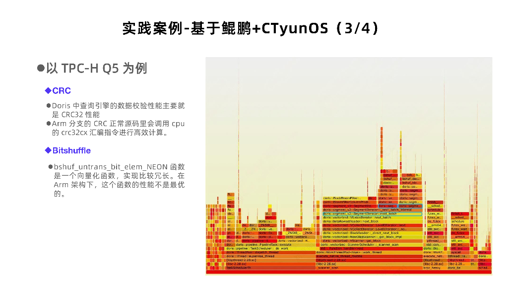 刘重阳：Apache Doris在国产化环境中的应用探索_第9页