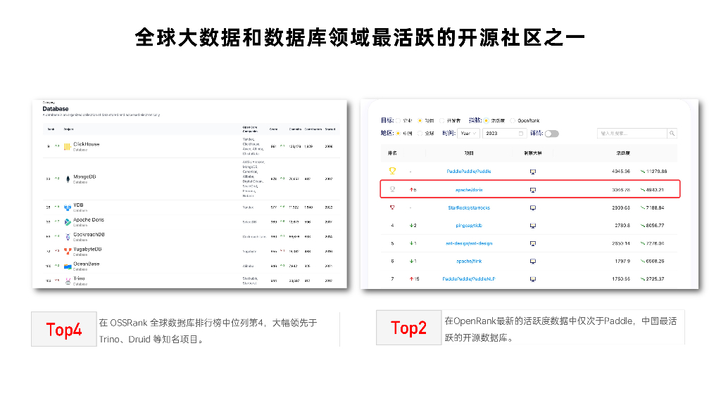 鲁志敬：Apache Doris社区发展与共建_第9页