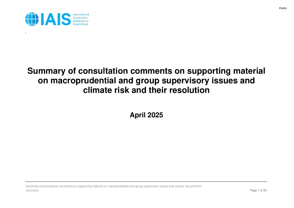国际保险监督官协会（IAIS）：2025年关于宏观审慎和集团监管问题以及气候风险的支持材料咨询意见摘要及其解决方案报告（英文版）