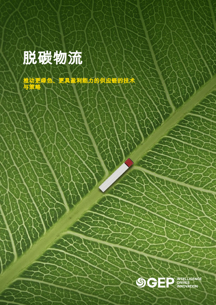 GEP：2025年脱碳物流-推动更绿色、更具盈利能力的<em>供应链</em>的技术与策略报告 海报