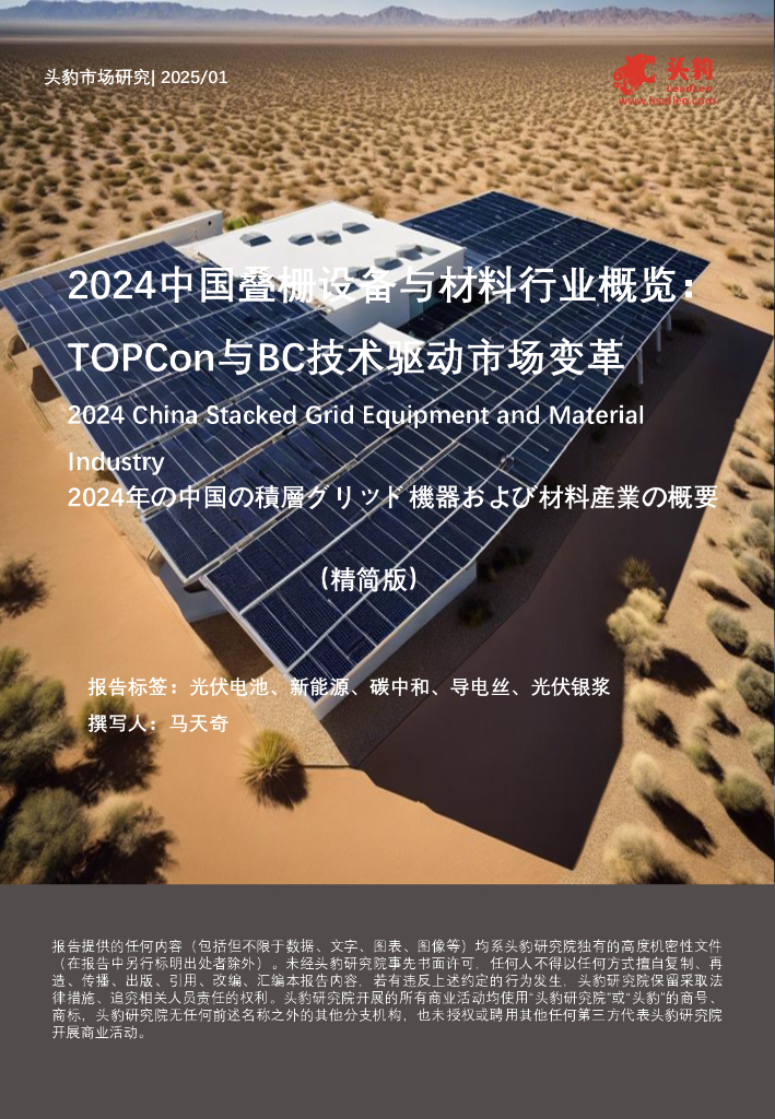 头豹研究院：2024中国叠栅设备与材料行业概览：TOPCon与BC技术驱动市场变革（精简版）