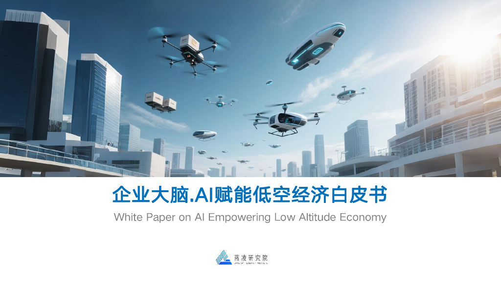 蓝凌研究院：2025年企业大脑·AI赋能低空经济白皮书