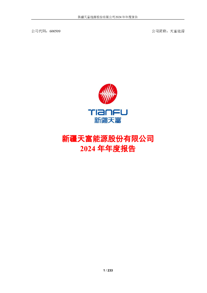 600509-天富<em>能源</em>：新疆天富<em>能源</em>股份有限公司2024年年度报告全文 海报