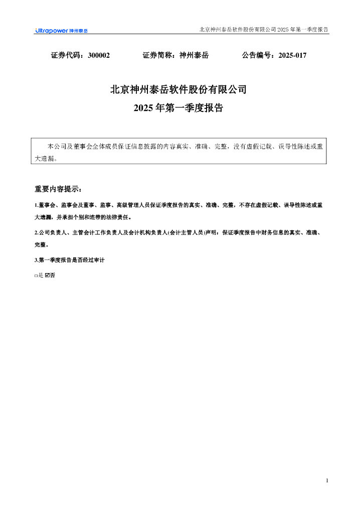 300002-神州泰岳：2025年一季度报告