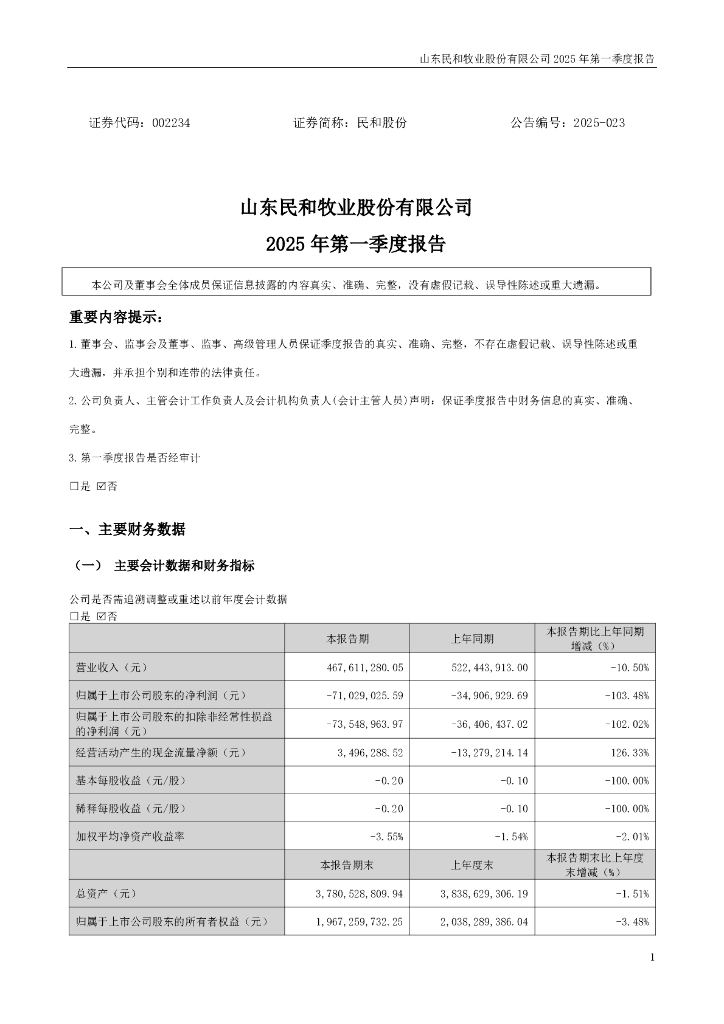 002234-民和股份：2025年一季度报告