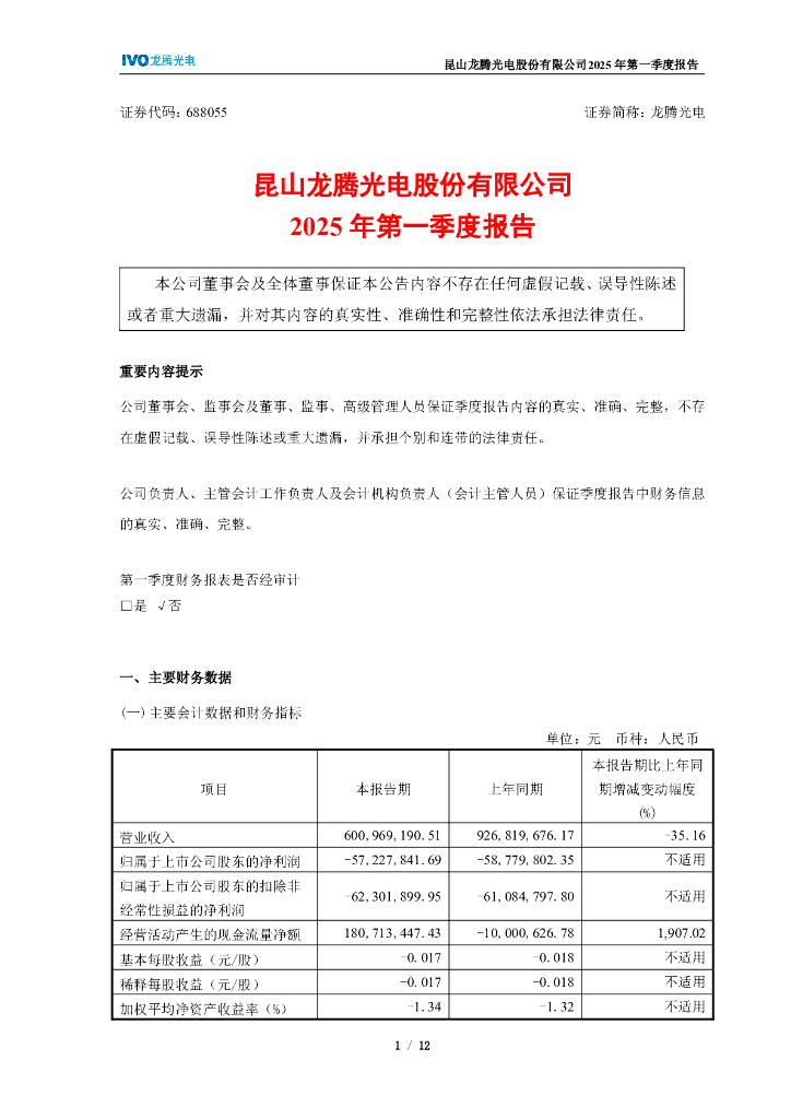 688055-龙腾光电：龙腾光电2025年第一季度报告