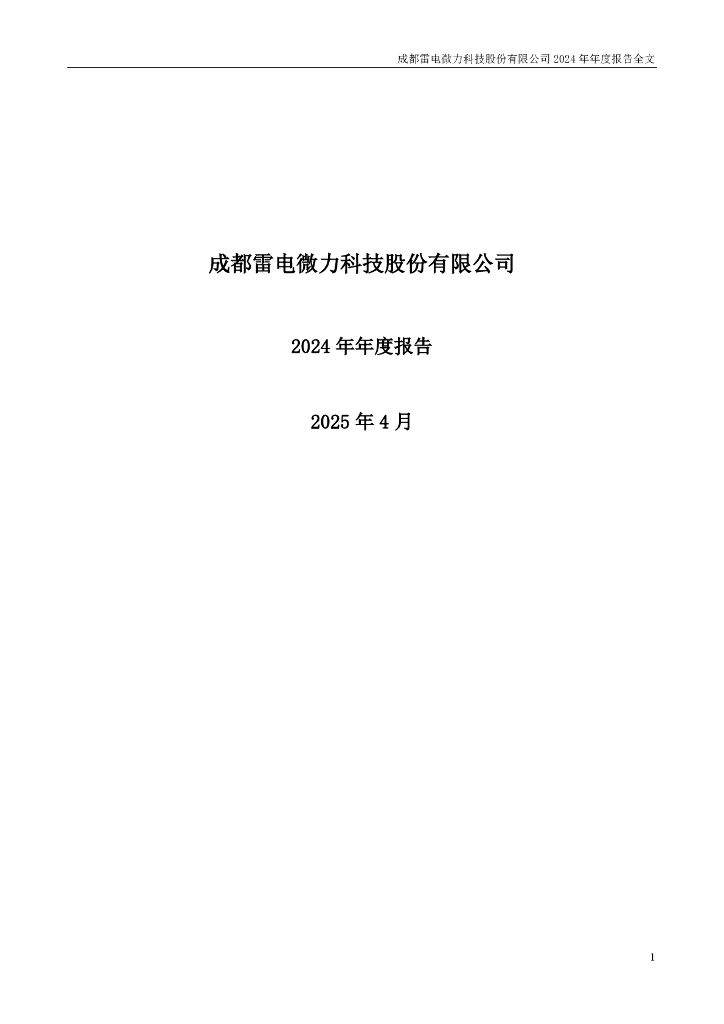 301050-雷电微力：2024年年度报告