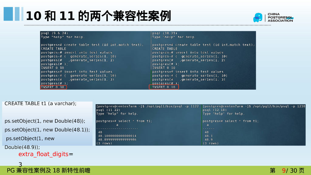 彭冲：PG版本兼容性案例_第9页