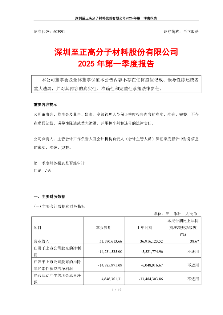 603991-至正股份：至正股份2025年第一季度报告