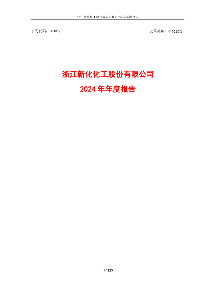 603867-新化股份：新化股份2024年年度报告