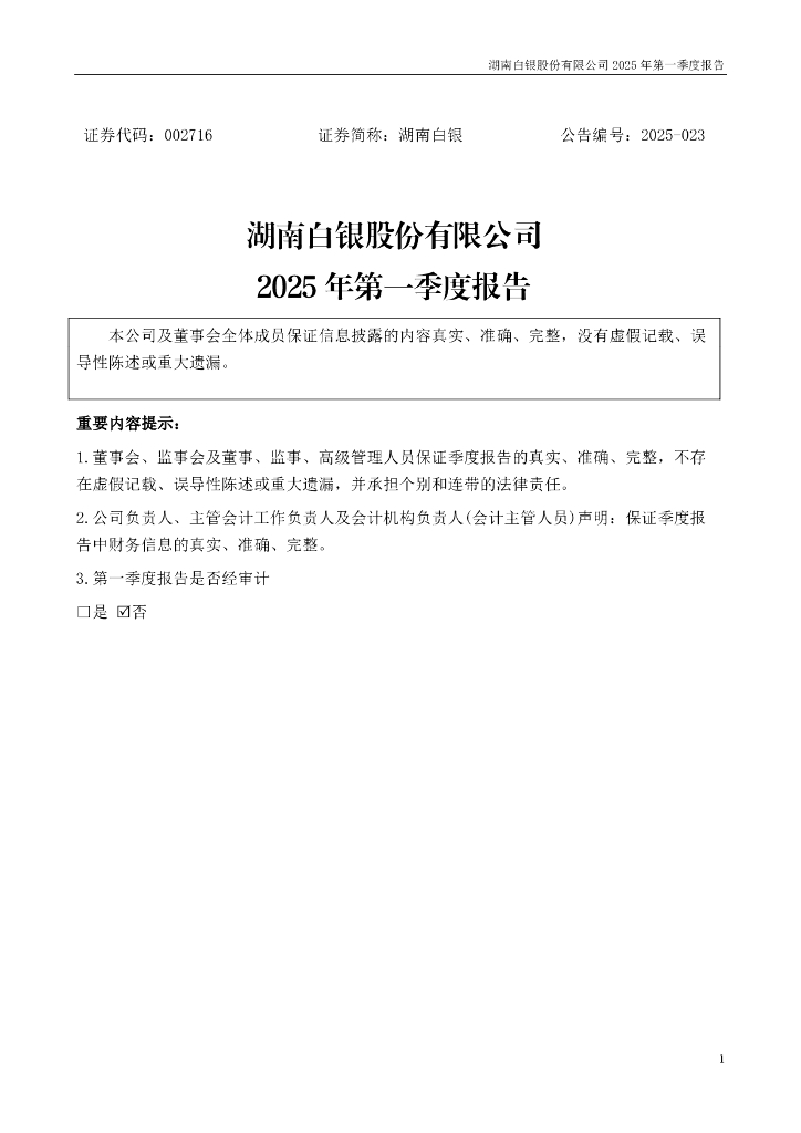 002716-湖南白银：2025年一季度报告