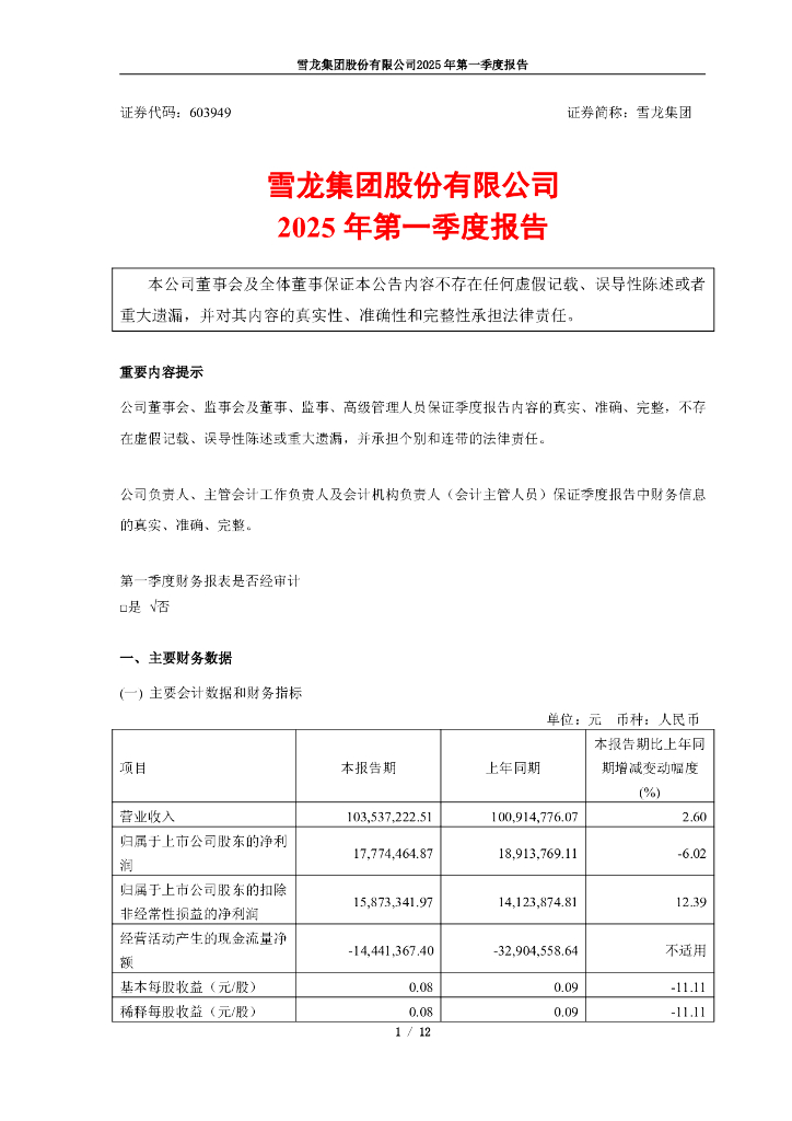 603949-雪龙集团：雪龙集团股份有限公司2025年第一季度报告