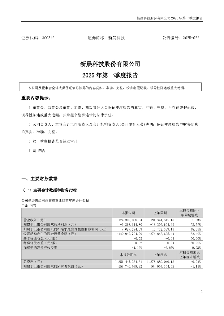 300542-新晨科技：2025年一季度报告