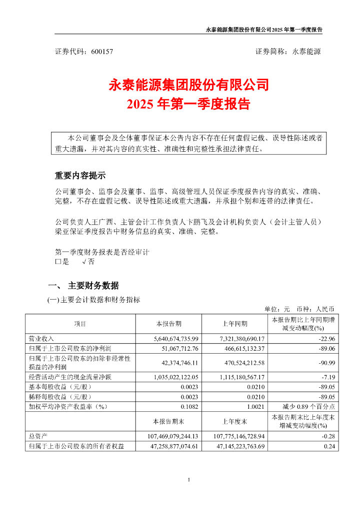 600157-永泰能源：永泰能源集团股份有限公司2025年第一季度报告