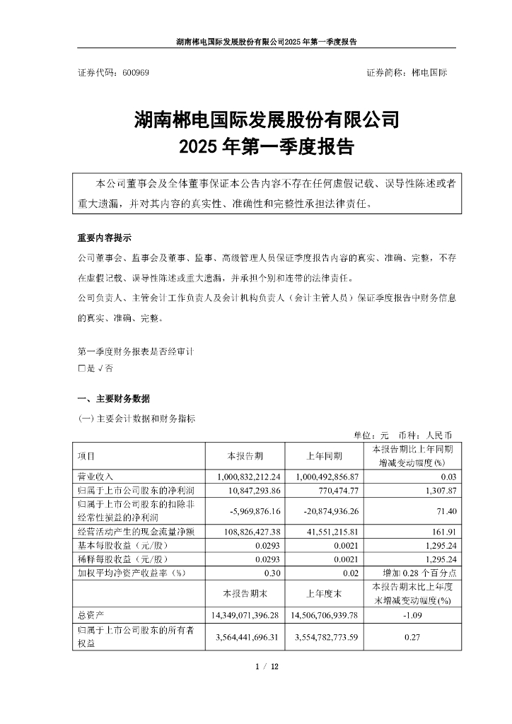 600969-郴电国际：郴电国际2025年第一季度报告