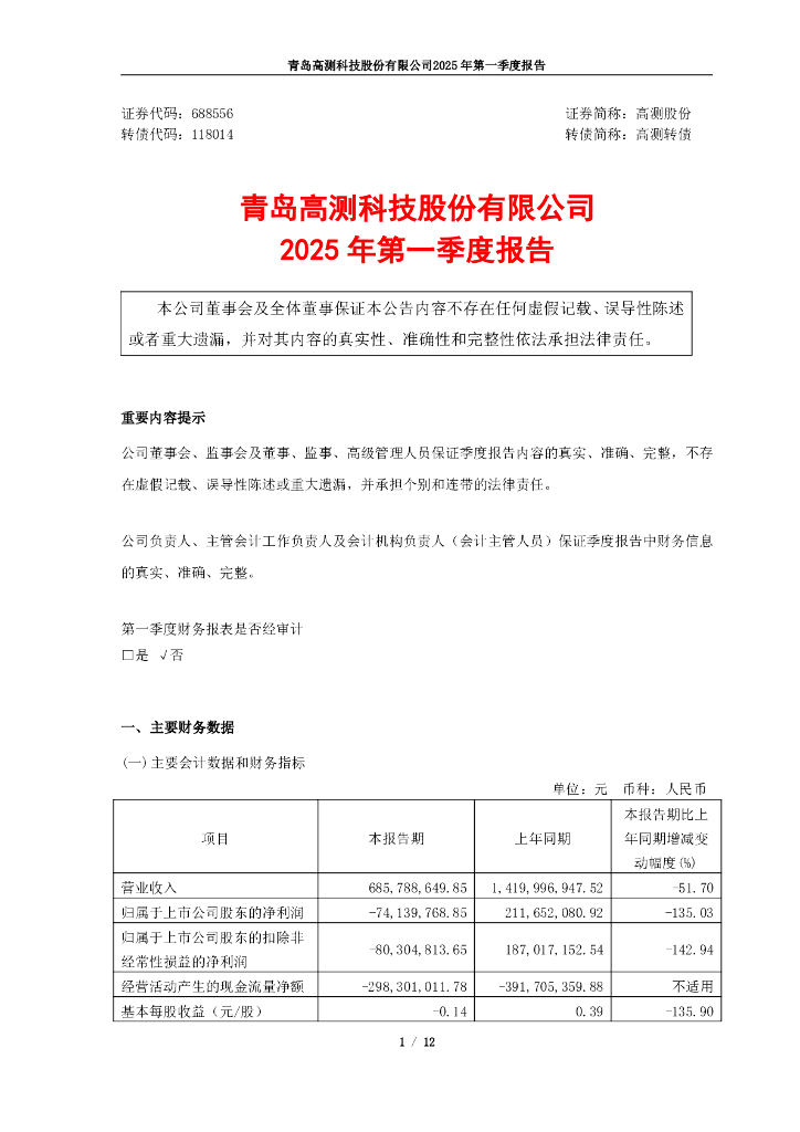 118014-高测股份：2025年第一季度报告