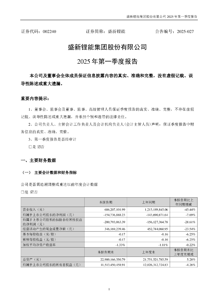 002240-盛新锂能：2025年一季度报告