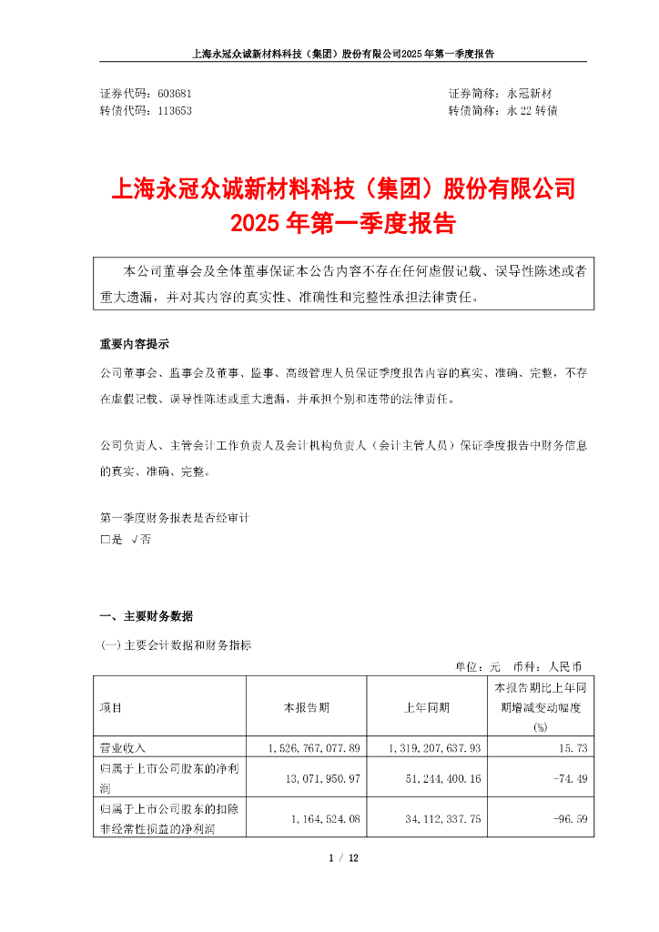113653-永冠新材：上海永冠众诚新材料科技(集团)股份有限公司2025年第一季度报告