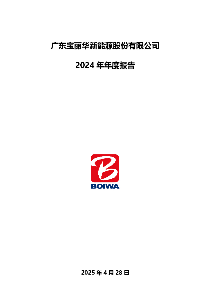 000690-宝新能源：2024年年度报告