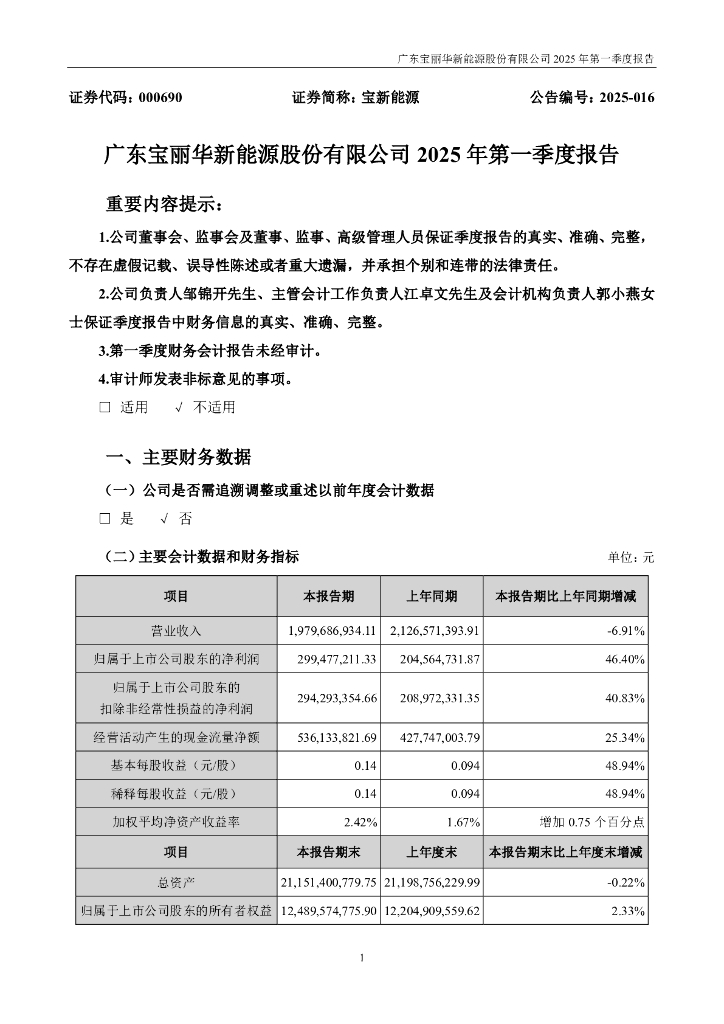 000690-宝新能源：2025年一季度报告