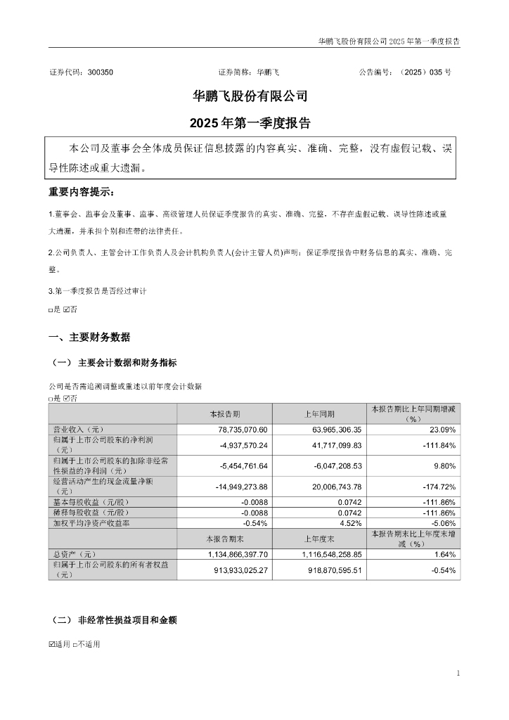 300350-华鹏飞：2025年一季度报告