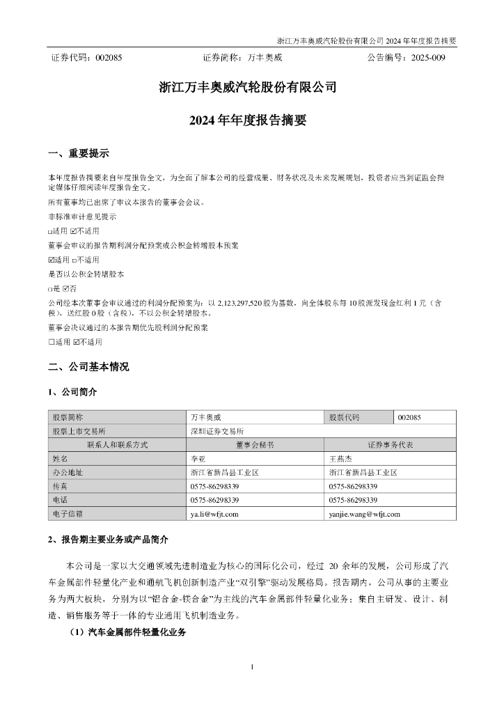 002085-万丰奥威：2024年年度报告摘要
