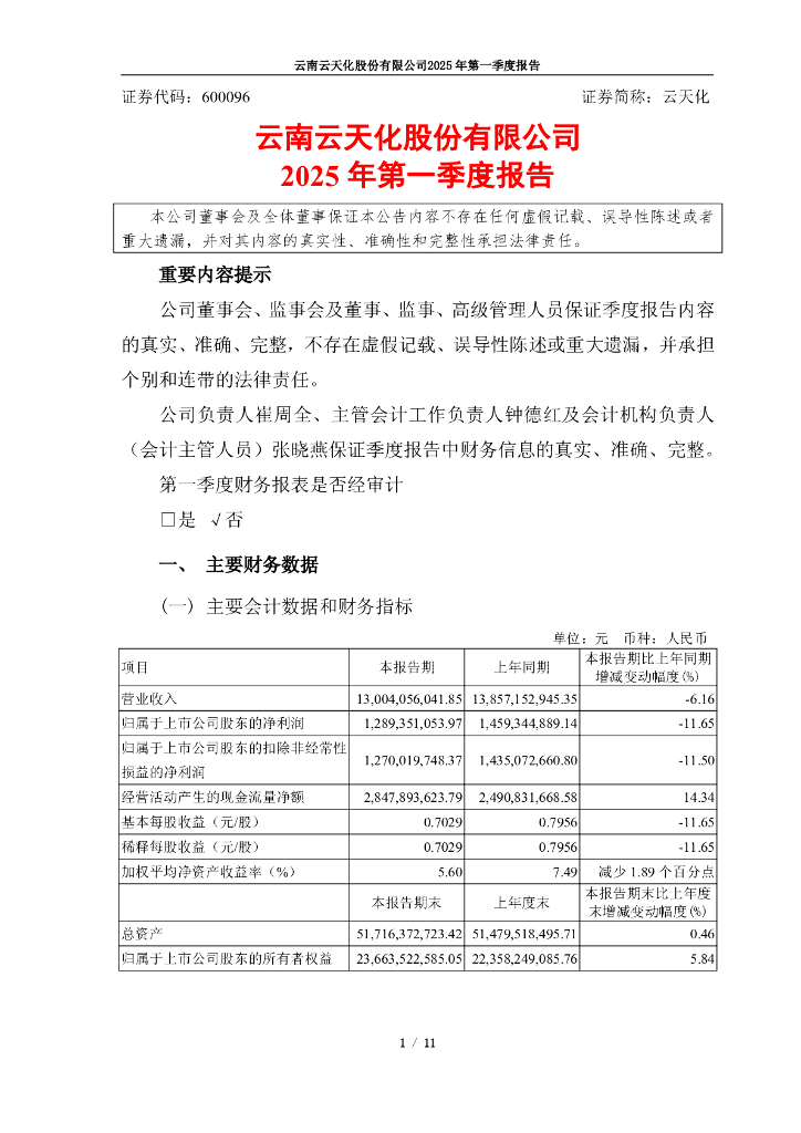 600096-云天化：云天化2025年第一季度报告