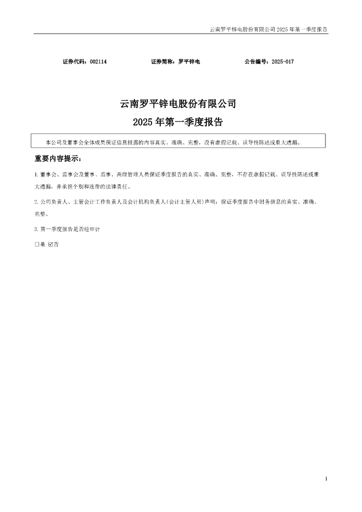 002114-罗平锌电：2025年一季度报告