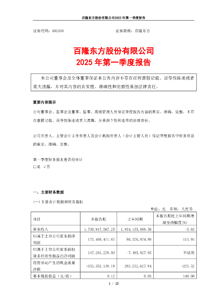 601339-百隆东方：百隆东方2025年第一季度报告