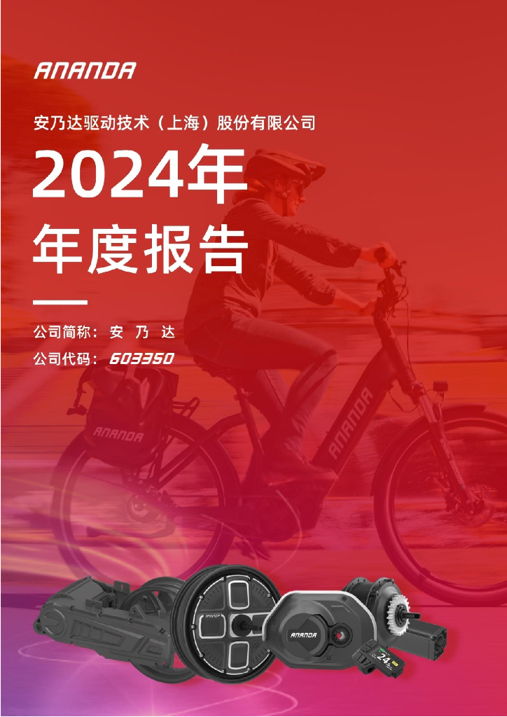 603350-安乃达：2024年年度报告