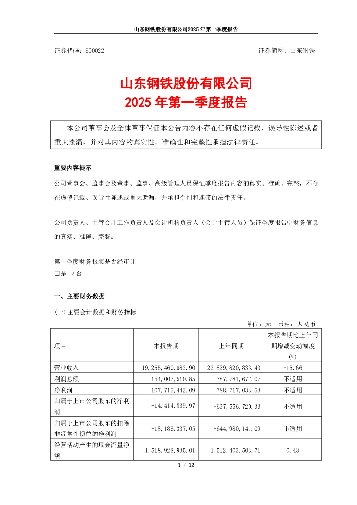600022-山东钢铁：山东钢铁股份有限公司2025年第一季度报告