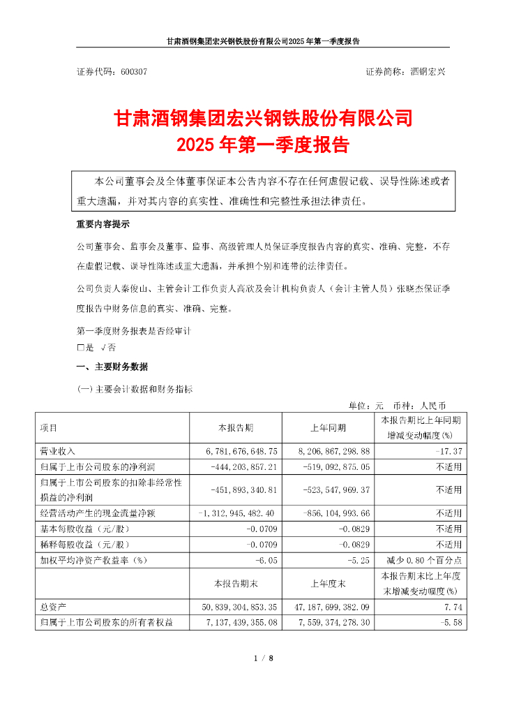 600307-酒钢宏兴：酒钢宏兴2025年一季度报告