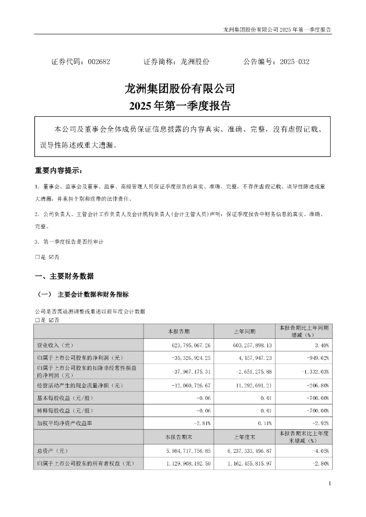 002682-龙洲股份：2025年一季度报告