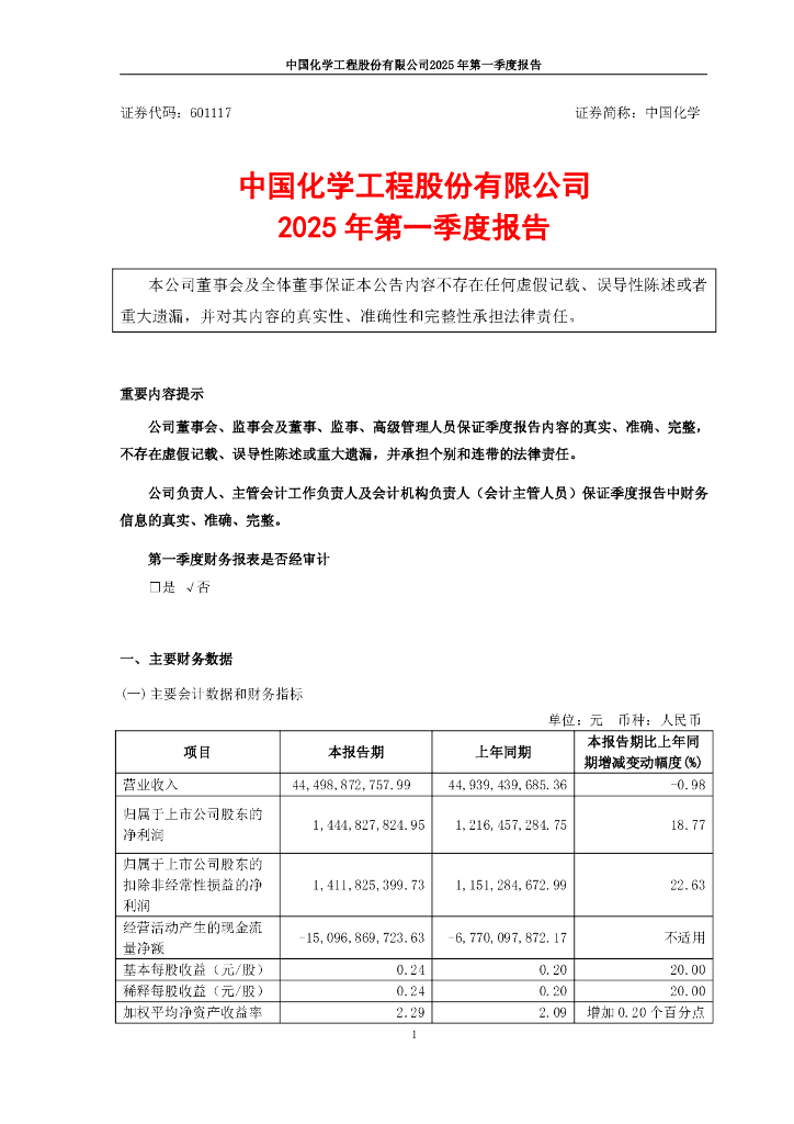 601117-中国化学：中国化学2025年第一季度报告